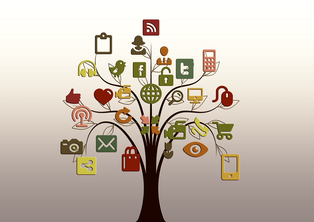 Networking Opportunities