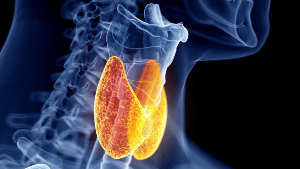 THYROID TESTING