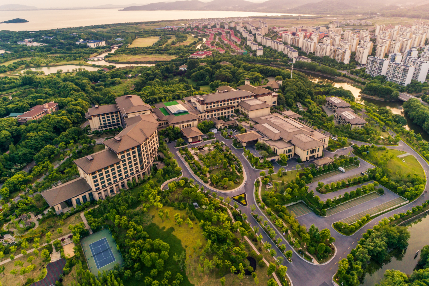 Real Estate Consultancy